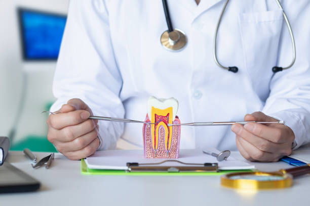 Best Knocked-Out Tooth Emergency  in Hampton Manor, NY